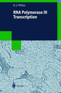 Produktbild: RNA Polymerase III Transcription
