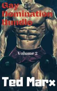 Produktbild: Gay Domination Bundle: Volume 2