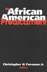 Produktbild: African Amer Predicament