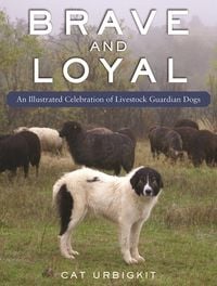 Produktbild: Brave and Loyal