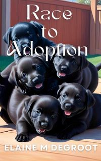 Produktbild: Race To Adoption