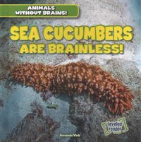 Produktbild: Sea Cucumbers Are Brainless