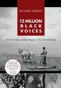 Produktbild: 12 Million Black Voices