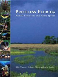 Produktbild: Priceless Florida