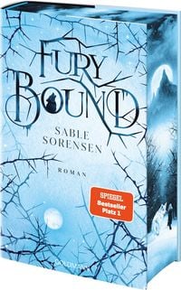 Produktbild: Fury Bound