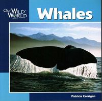 Produktbild: Whales