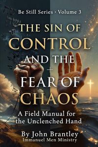 Produktbild: The Sin of Control and the Fear of Chaos