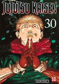 Produktbild: Jujutsu Kaisen &ndash; Band 30 (Finale)