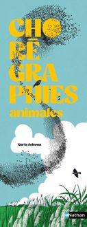 Produktbild: Chor&eacute;graphies animales