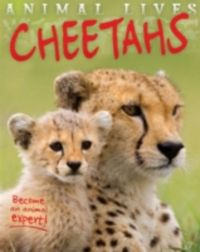 Produktbild: Morgan, S: Animal Lives: Cheetahs