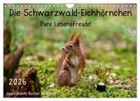 Produktbild: Die Schwarzwald-Eichh&ouml;rnchen (Wandkalender 2026 DIN A4 quer), CALVENDO Monatskalender