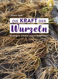 Produktbild: Die Kraft der Wurzeln