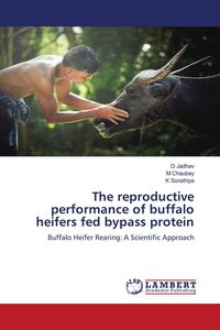 Produktbild: The reproductive performance of buffalo heifers fed bypass protein