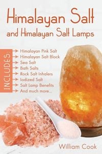 Bild vom Artikel Himalayan Salt and Himalayan Salt Lamps vom Autor William Cook