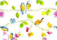 Produktbild: Watercolor Birds Note Cards