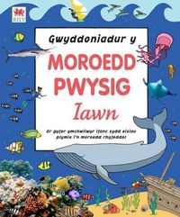 Produktbild: Gwyddoniadur y Moroedd Pwysig Iawn