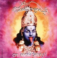 Produktbild: Om Namah Shivay