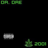 Bild vom Artikel Dr. Dre: 2001 vom Autor DrDre