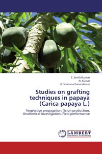 Produktbild: Studies on grafting techniques in papaya (Carica papaya L.)