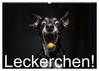 Produktbild: Leckerchen! (Wandkalender 2026 DIN A2 quer), CALVENDO Monatskalender