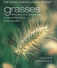 Produktbild: Grasses