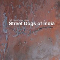 Bild vom Artikel Street Dogs of India vom Autor Frank Prümmer