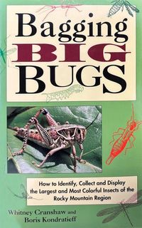 Produktbild: Bagging Big Bugs