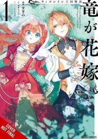 Produktbild: Tale of the Wizrain Kingdom: The Dragon Is the Bride, Vol. 1