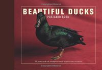 Produktbild: Beautiful Ducks Postcard Book