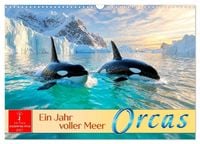 Produktbild: Orcas - ein Jahr voller Meer (Wandkalender 2027 DIN A3 quer), CALVENDO Monatskalender