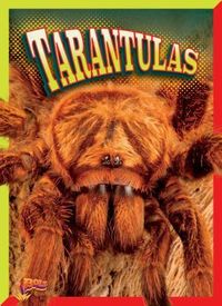 Produktbild: Tarantulas