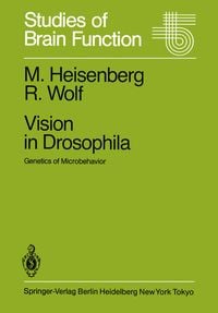 Produktbild: Vision in Drosophila