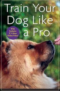Produktbild: Train Your Dog Like a Pro