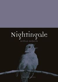 Produktbild: Nightingale