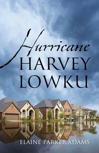 Produktbild: Hurricane Harvey Lowku