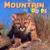 Produktbild: Mountain Babies
