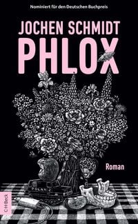 Produktbild: Phlox