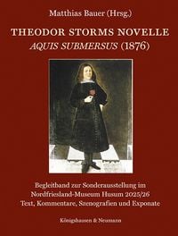 Produktbild: Theodor Storms Novelle Aquis submersus (1876)