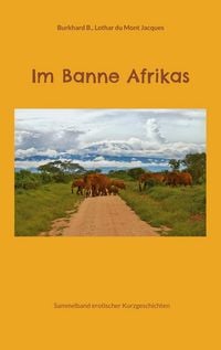 Produktbild: Im Banne Afrikas