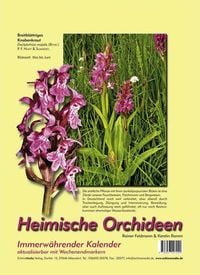 Bild vom Artikel Heimische Orchideen vom Autor Rainer Feldmann