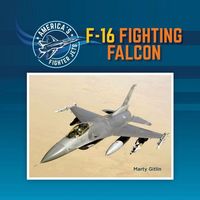 Produktbild: F-16 Fighting Falcon