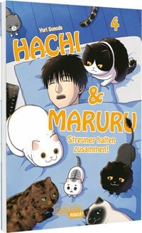 Produktbild: Hachi & Maruru &ndash; Streuner halten zusammen! 4
