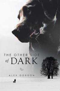 Produktbild: The Other Side of Dark