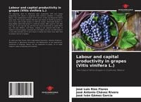 Produktbild: Labour and capital productivity in grapes (Vitis vinifera L.)