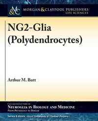 Produktbild: NG2-Glia (Polydendrocytes)