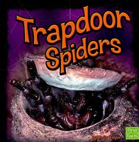 Produktbild: Trapdoor Spiders