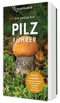 Produktbild: Der gro&szlig;e BLV Pilzf&uuml;hrer