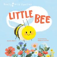 Bild vom Artikel Little Bee vom Autor Anna Brett