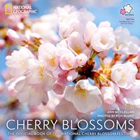 Produktbild: Cherry Blossoms