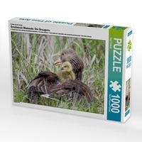 Produktbild: CALVENDO Puzzle Ein Motiv aus dem Kalender Emotionale Momente: Die Graugans. | 1000 Teile Lege-Gr&ouml;&szlig;e 64x48cm Foto-Puzzle f&uuml;r gl&uuml;ckliche Stunden